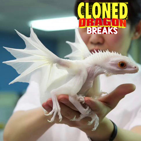 19 CLONED DRAGON BREAKS! Unreleased Dirt Style Records Digital Download!