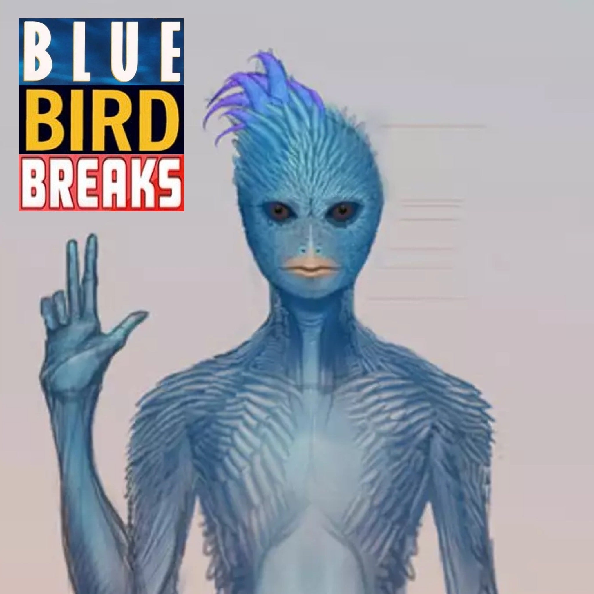 77 BLUE BIRD BREAKS UNRELEASED DIRT STYLE RECORDS DIGITAL DOWNLOAD