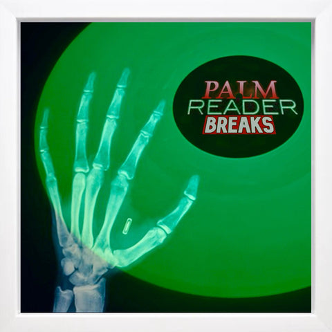 53 Palm Reader Breaks UNRELEASED DIRT STYLE RECORDS DIGITAL DOWNLOAD!