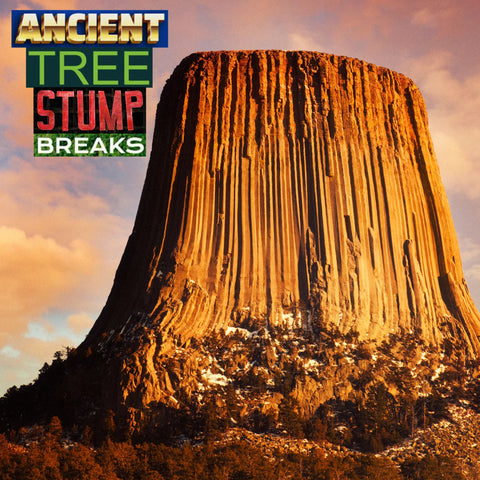 24 ANCIENT TREE STUMP BREAKS! Unreleased Dirt Style Records Digital Download!