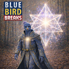 77 BLUE BIRD BREAKS UNRELEASED DIRT STYLE RECORDS DIGITAL DOWNLOAD