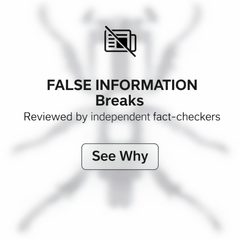 27 FALSE INFORMATION BREAKS Unreleased Dirt Style Records Digital Download!