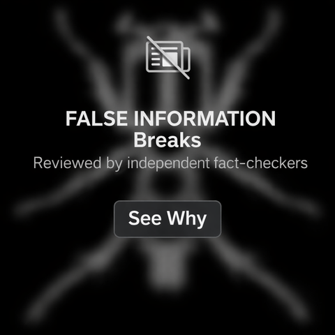 27 FALSE INFORMATION BREAKS Unreleased Dirt Style Records Digital Download!