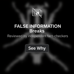 27 FALSE INFORMATION BREAKS Unreleased Dirt Style Records Digital Download!