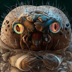 Rechargeable Bacteria Breaks