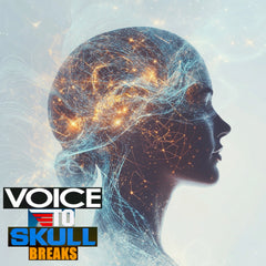 94 BREAKS UNRELEASED DIRT STYLE RECORDS DIGITAL DOWNLOAD