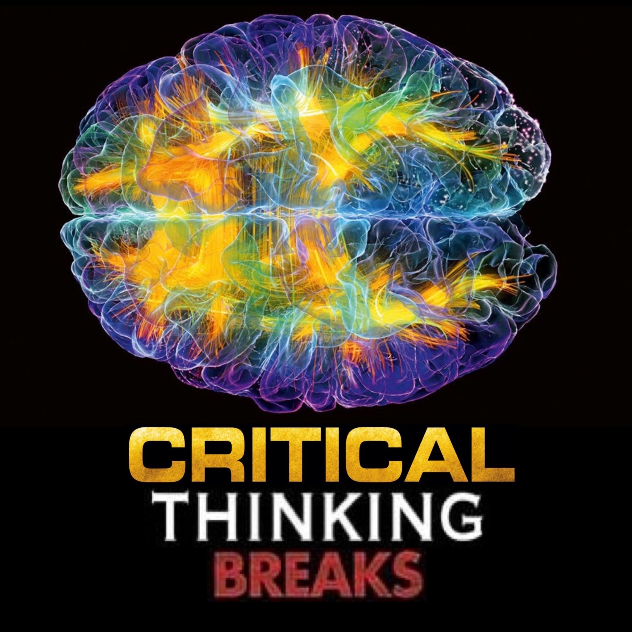37 CRITICAL THINKING BREAKS Unreleased DIRT STYLE Digital Record Download!