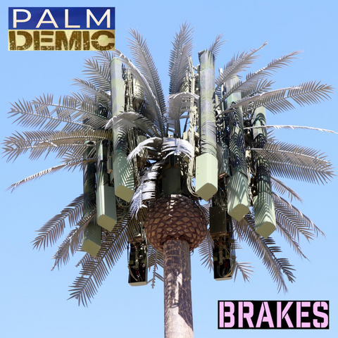 15 PALMDEMIC BREAKS! Unreleased Dirt Style Records Digital Download!