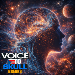 94 VOICE TO SKULL BREAKS UNRELEASED DIRT STYLE RECORDS DIGITAL DOWNLOAD