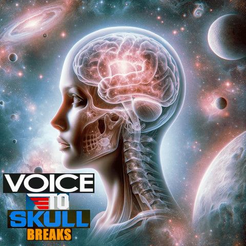 94 BREAKS UNRELEASED DIRT STYLE RECORDS DIGITAL DOWNLOAD