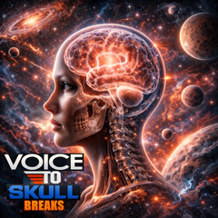 94 VOICE TO SKULL BREAKS UNRELEASED DIRT STYLE RECORDS DIGITAL DOWNLOAD