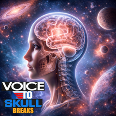 94 VOICE TO SKULL BREAKS UNRELEASED DIRT STYLE RECORDS DIGITAL DOWNLOAD