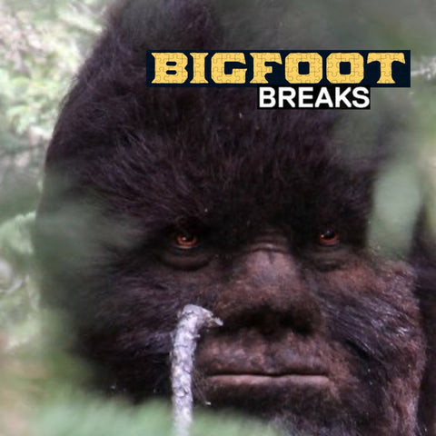 55 Bigfoot Breaks UNRELEASED DIRT STYLE RECORDS DIGITAL DOWNLOAD!