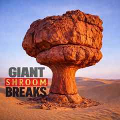 62 GIANT SHROOM BREAKS UNRELEASED DIRT STYLE RECORDS DIGITAL DOWNLOAD!
