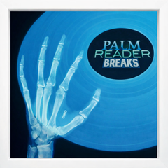 53 Palm Reader Breaks UNRELEASED DIRT STYLE RECORDS DIGITAL DOWNLOAD!