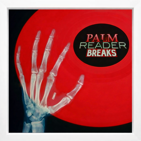 53 Palm Reader Breaks UNRELEASED DIRT STYLE RECORDS DIGITAL DOWNLOAD!