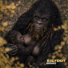 55 Bigfoot Breaks UNRELEASED DIRT STYLE RECORDS DIGITAL DOWNLOAD!
