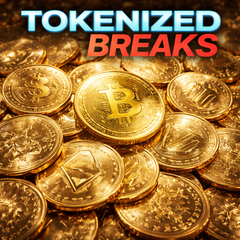 92 TOKENIZED BREAKS UNRELEASED DIRT STYLE RECORDS DIGITAL DOWNLOAD