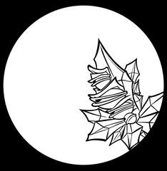 Superseal 6 Remix (digital download versions)