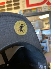 Flexfit Snap-Back - BLACK